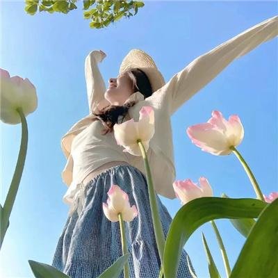 火星探测器历险